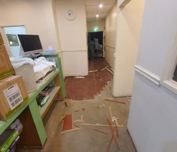 WhatsApp Image 2024-05-19 at 10.08.08 PM