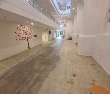 WhatsApp Image 2024-05-19 at 10.58.02 PM (1)